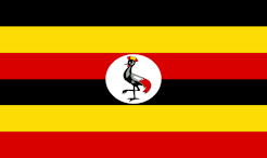 Uganda Flag / Link to Ssemmanda Eudes